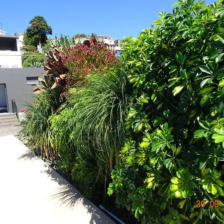 Loreto Luxury Villa Arco da Calheta (Madeira)